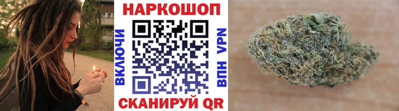  COCAIN Щигры