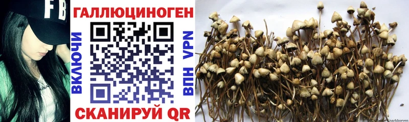 площадка формула  Щигры  KRAKEN как войти  Псилоцибиновые грибы прущие грибы  где можно купить наркотик 